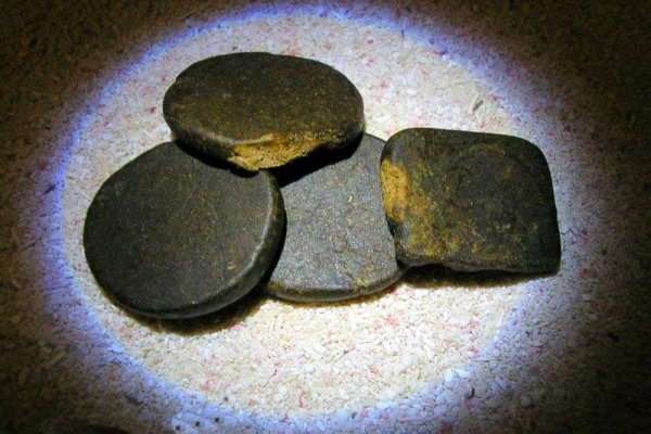 Лучшие практики ссылки тор браузер